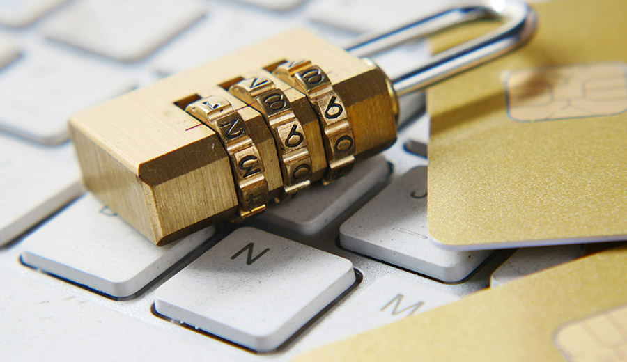 Access to Information, Privacy & Personal Health Information Lawyers in Ontario